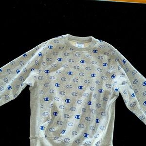 Champion crewneck hoodie